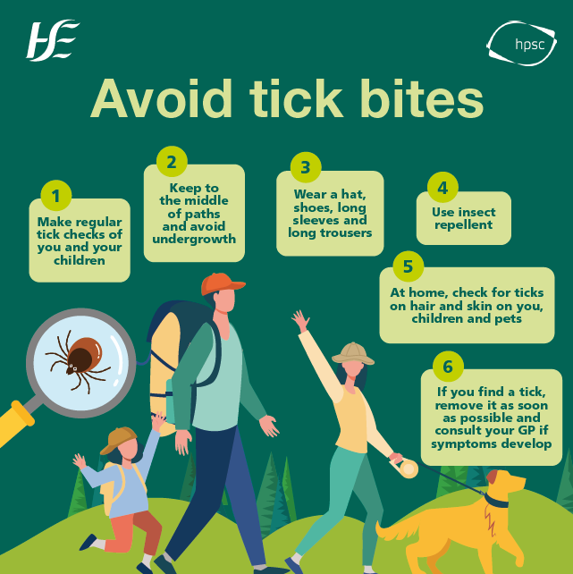Avoid tick bites in six steps